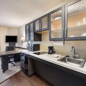 Studio Queen Suite Bathtub Mobility Accessible